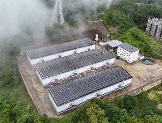 綠色賦能 讓好糧住進(jìn)好“房”